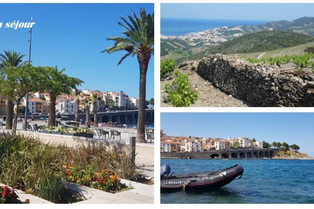 Appartement 300 M Plage Et Port Banyuls-sur-Mer Exterior foto